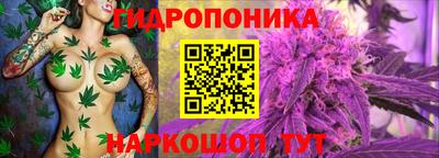 амф Старая Купавна