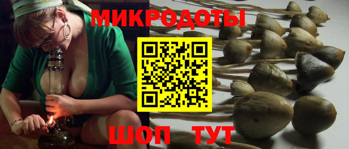 Галлюциногенные грибы MAGIC MUSHROOMS Отрадный